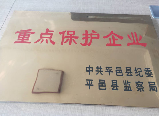 重點保護企業(yè)